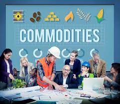Procurement 101: Explanation on Commodities