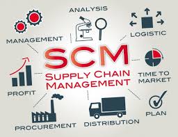 The Supply Chain Management Organization’s critical impact on the predisposition and progress toward managing risks