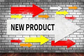 Sourcing New Product Innovation Success